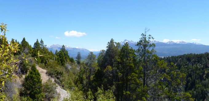 5 motivos para visitar el Parque Nacional Los Alerces