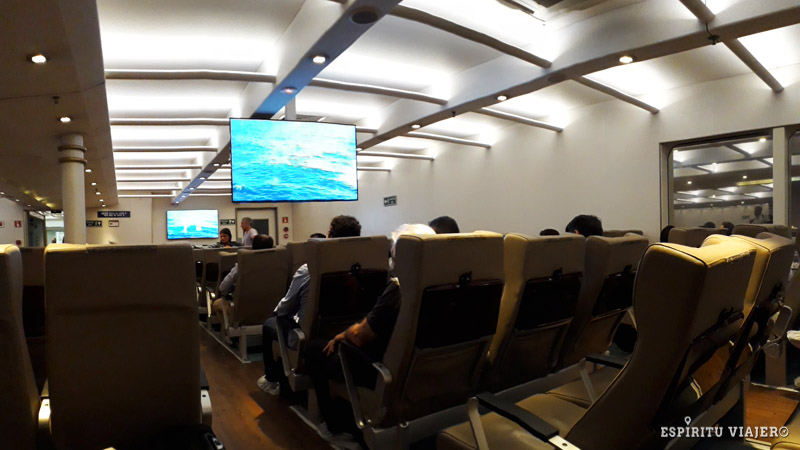 Buquebus Vs. Seacat Vs. Colonia Express: ¿Cómo viajar a Uruguay?